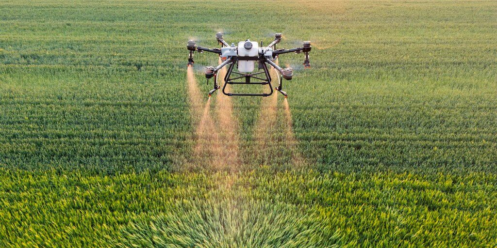 کاربرد پهپاد سمپاش در کشاورزی گندم؛ چگونه پهپادها آینده گندم‌زارهای رومانی را متحول می‌کنند؟